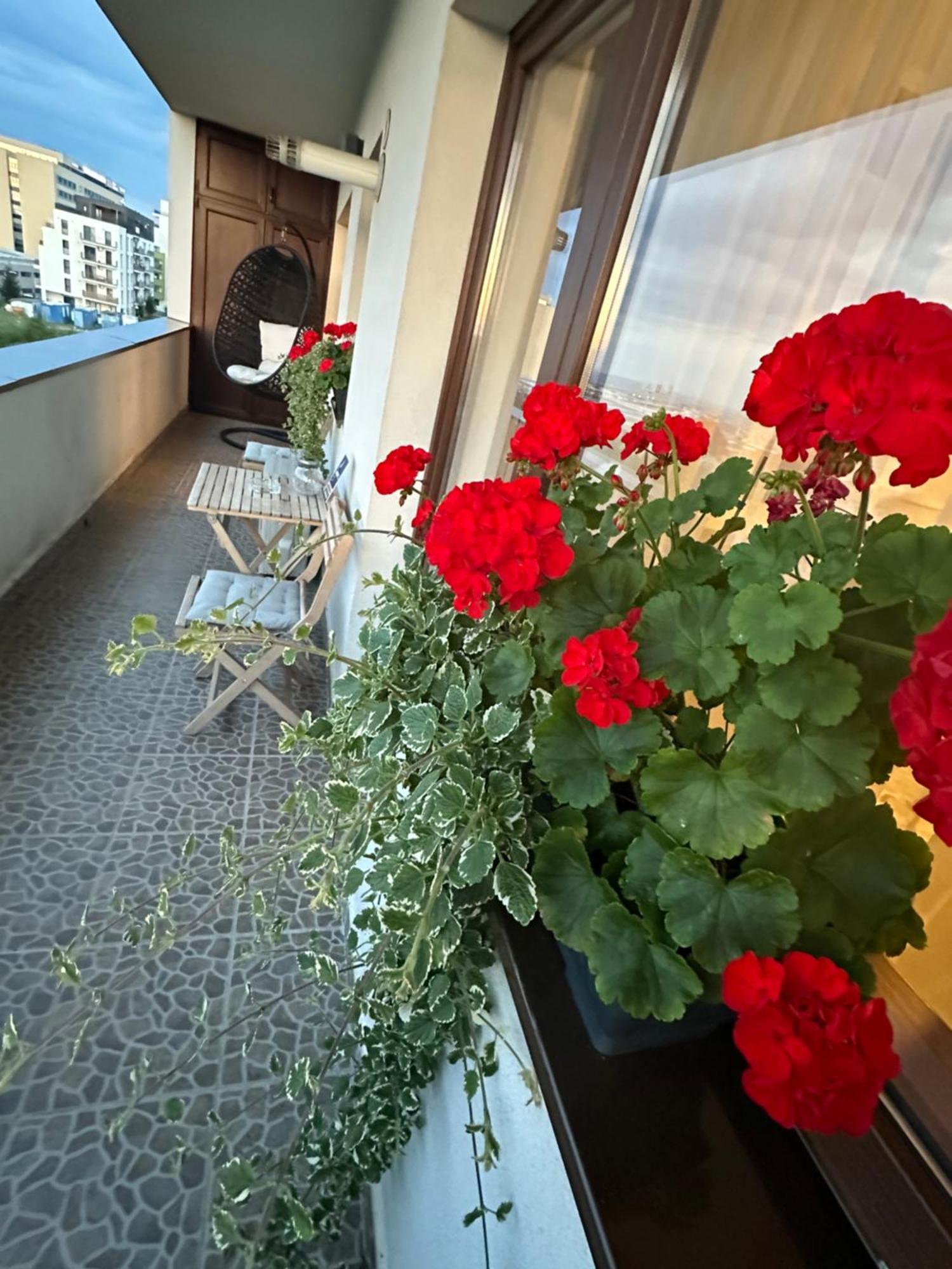 Wonderful View Apartament